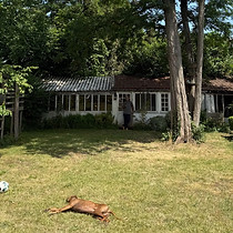Pension Dog Vadrouille