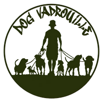 Promenades canines au bois de Vincennes