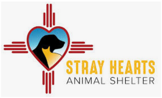 SUNDAYS 5-6PM | COMMUNITY YOGA GIVEBACK SUPPORTS STRAY HEARTS