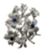 PhotoRoom_20240227_25721 pm
