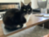 IMG_0497.jpeg