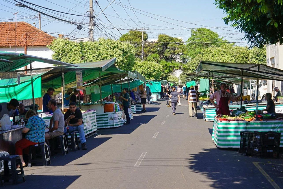 Foto: Marcos Morelli/ Prefeitura de Rio Preto