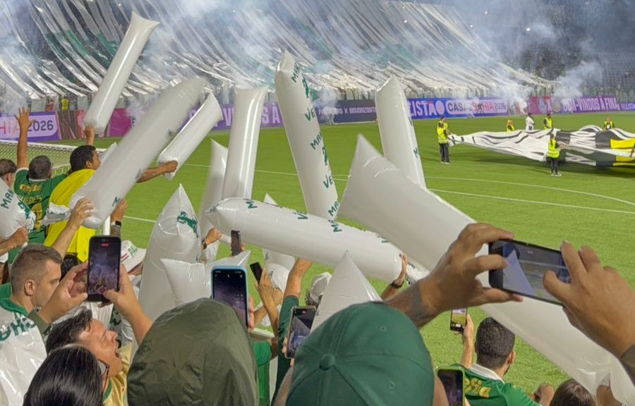 Torcedores do Palmeiras durante a final contra o Novorizontino na Arena Barueri (Foto: Paula Bifano)