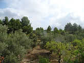 DSC01600.JPG