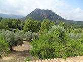 DSC01598.JPG