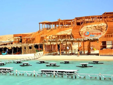 🌊 Discover the Magic of the Red Sea on a Private Boat Trip! 🐬🌴