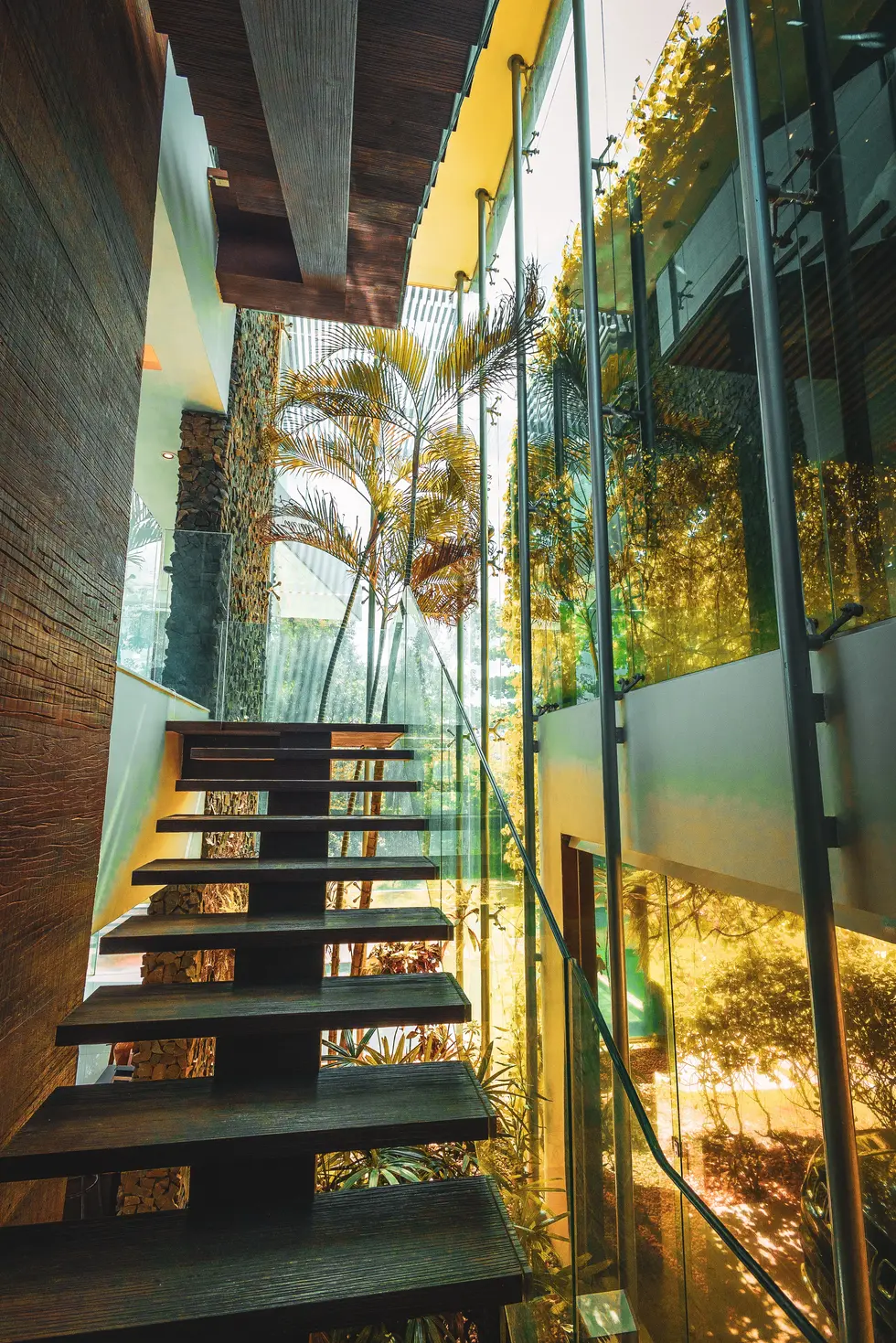 CASA DE VIDRO (74)-2