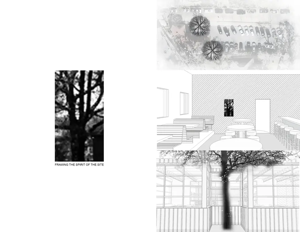 VIC Firm Frame 01