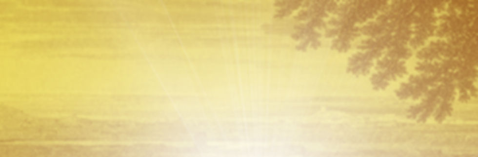matterbloomlight_notext.jpg
