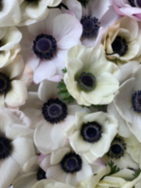 2026 Spring CSA Subscription (4 Bouquets)