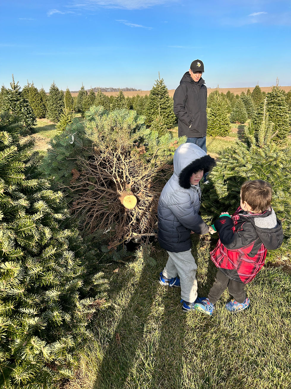 Getting our Christmas tree from Bomke's Patch is one of my favorite traditions! 