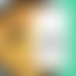 de Perfecte Frittata!