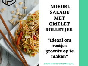 Noedelsalade met omeletrolletjes