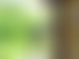 How Much Do You Need for Closing Costs on a House?