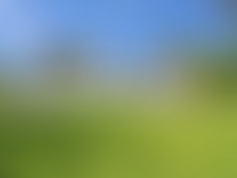 How To Stage Your Home for A Quick Sale