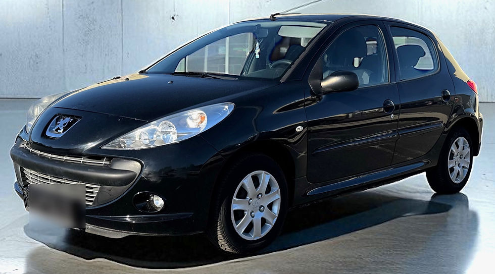 Miniature : PEUGEOT 206+ 55MKM