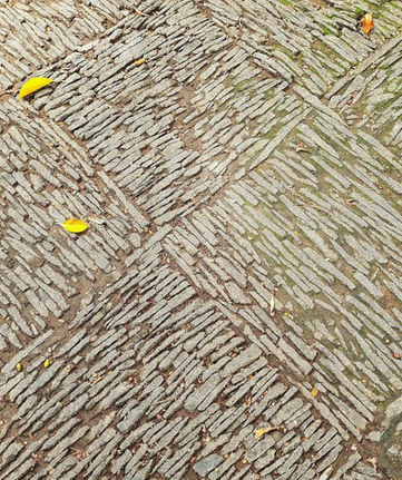 WhatsApp Image 2022-10-31 at 12.46.30 PM.jpeg