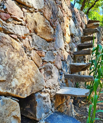 WhatsApp Image 2022-10-31 at 12.46.12 PM.jpeg