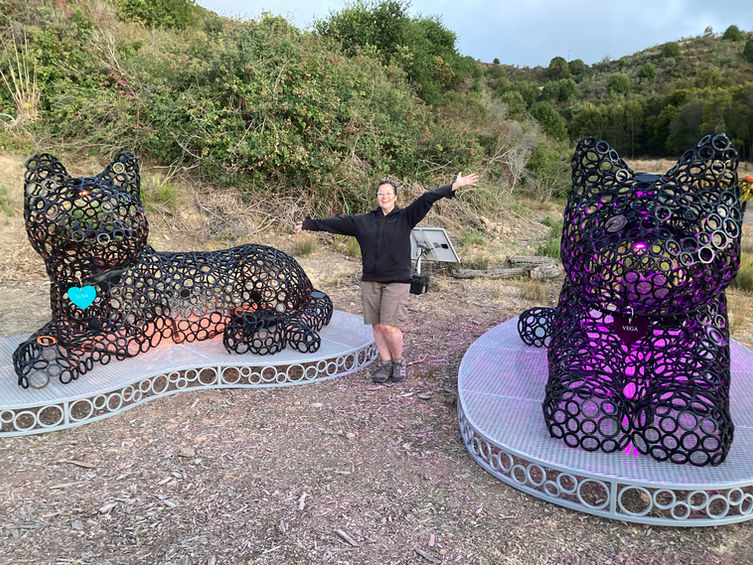 Purr Pods at Point San Pablo Harbor