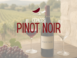 Pinot Noir : Terroirs prestigieux et vin en ligne
