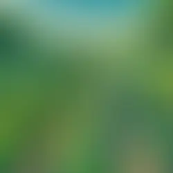 La vinification biodynamique : Au-delà du bio !