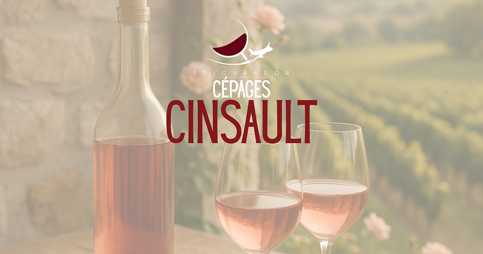 Cinsault, le cépage incontournable