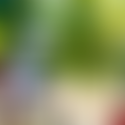 WINE-E, le dernier gadget d'une Napa Valley futuriste