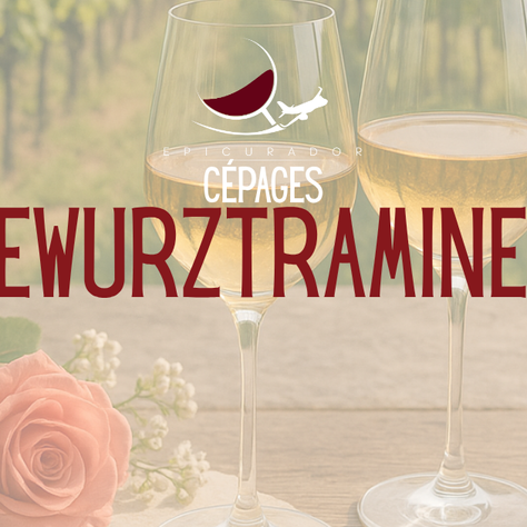Gewurztraminer : le trésor aromatique