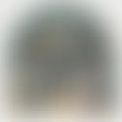 Conserver son vin 3 ans ou plutôt 10 ? Comment choisir ?