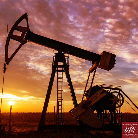 Bordeaux : Entre Grands Crus et Gisements de Pétrole, l'Avenir S'Annonce Brillant
