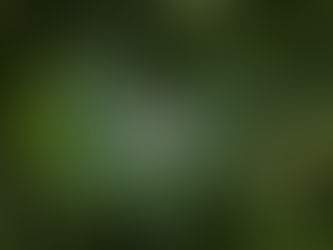 If I Could Plant One Seed Of Love