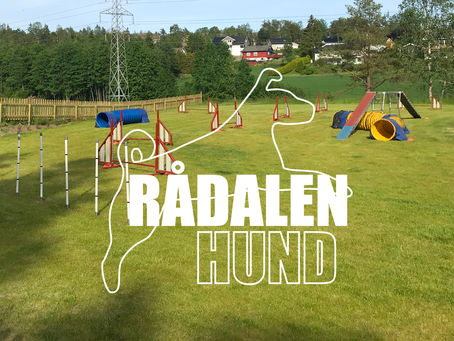 Introduksjonskurs i agility