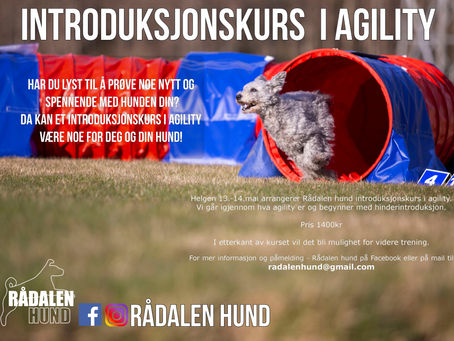Introduksjonskurs mai 2023