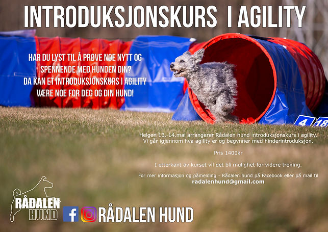 introkurs v23.jpg