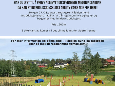 Introduksjonskurs - agility