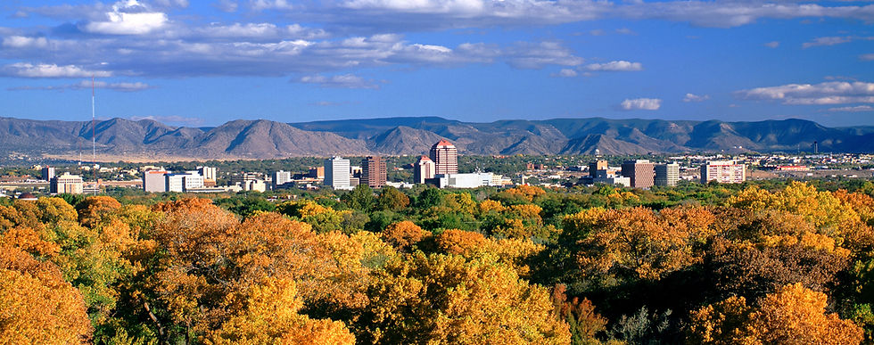 Albuquerque Real Estate