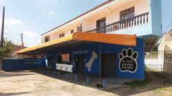 Uberaba, curitiba