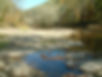 Rocky Bottom