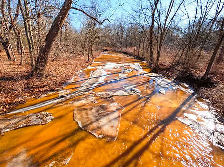 Raccoon Creek before AMD treatment