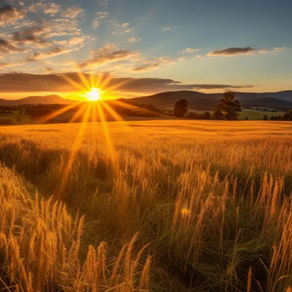Máximo Solar e Meio Ambiente: Como o sol está afetando o clima e a tecnologia na terra