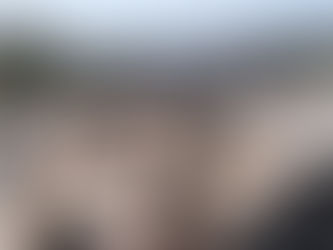 Eco & Vida: Trabalho Sem Fim para um Mundo Mais Sustentável