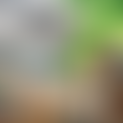 Brasil na contramão do mundo: por que ainda falhamos no combate ao plástico