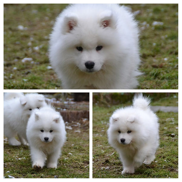 20190102_200718-COLLAGE.jpg