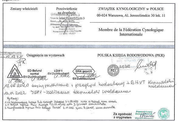 GREY HEALTH TESTING.jpg