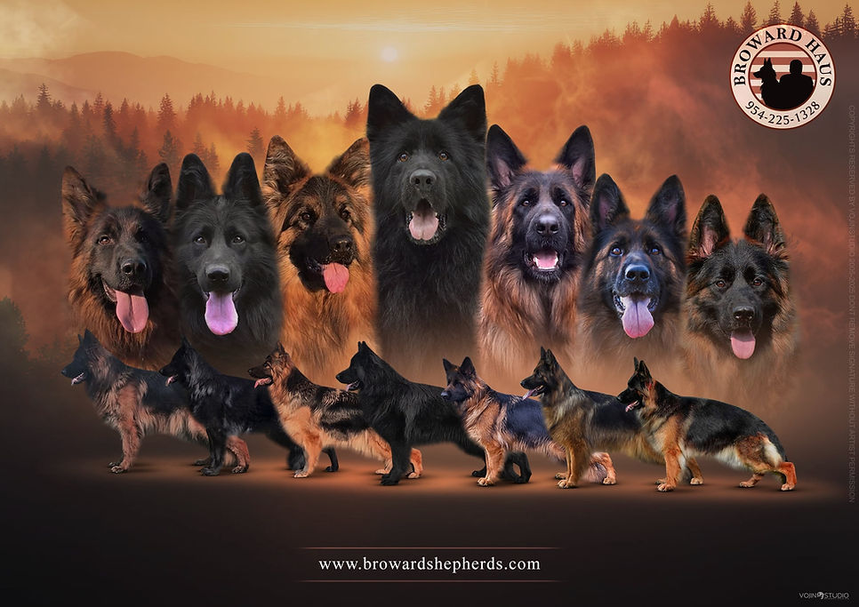 att.xKHrKE2SOFULbj7xyJ64wT_jfAbH6hIK233L190KzOQ (1).jpeg