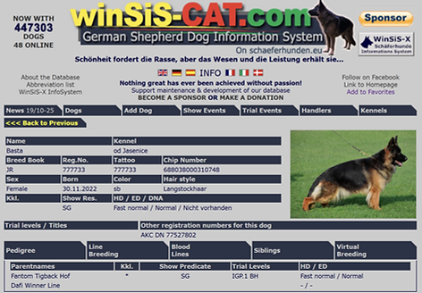 Screenshot 2025-10-22 201011.png