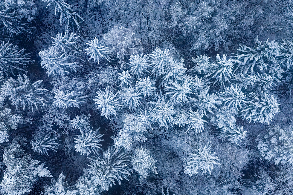 2022 Q4 : Trending keywords