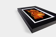 Spectrum_Black_Satin_Flat_Angled copy.jpg