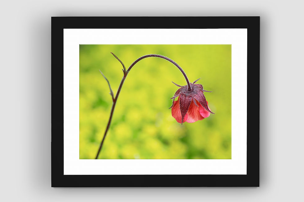 Thumbnail: Springtime