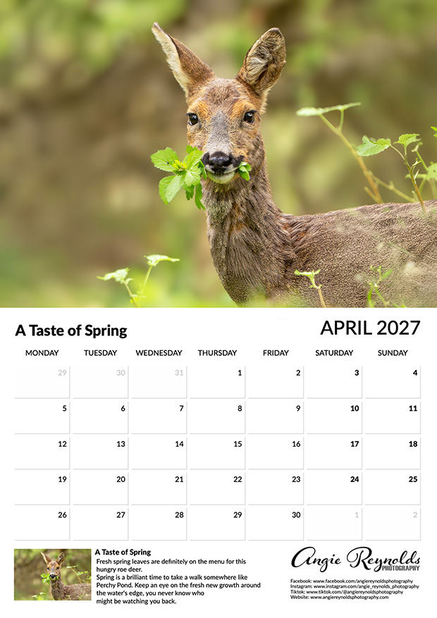 Thumbnail: 2027 Calendar